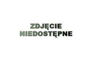 RF | GNU - 2/3-100 Pojemniki gastronomiczne z uchwytami