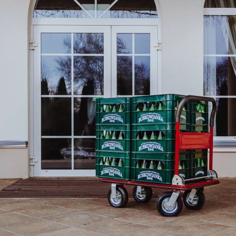 Wózek platformowy magazynowy udźwig 150kg poręczny MTP002748