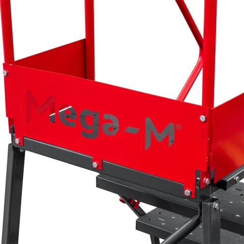 Drabina magazynowa przejezdna 10 stopni wysokość 255 cm MTP003339