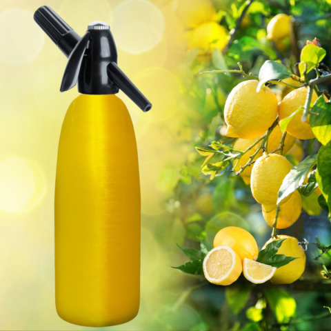 Syfon do Wody Sodowej Saturator 1L Złoty + Naboje CO2 50 Sztuk w Zestawie Syfon do Wody Sodowej Saturator 1L Złoty + Naboje CO2 50 Sztuk w Zestawie