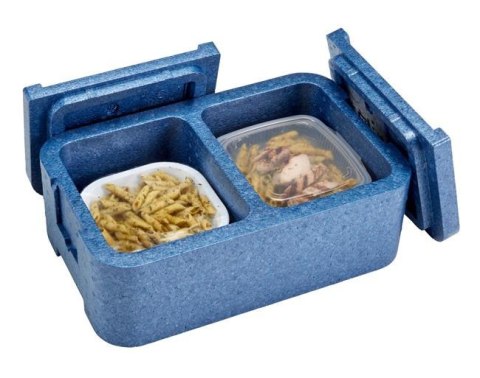 Pojemnik Termoizolacyjny 2-Komorowy Cam Gobox Cambro Niebieski 437x276x175