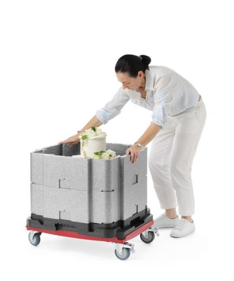 Pojemnik Termoizolacyjny Wielofunkcyjny 641x641x754 mm Cambro Eppmfbe122110