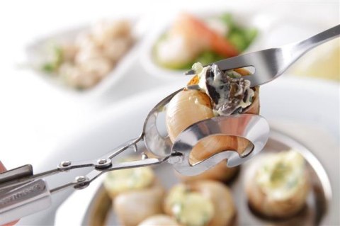 Szczypce do ślimaków 2 szt 170 mm Hendi 402528