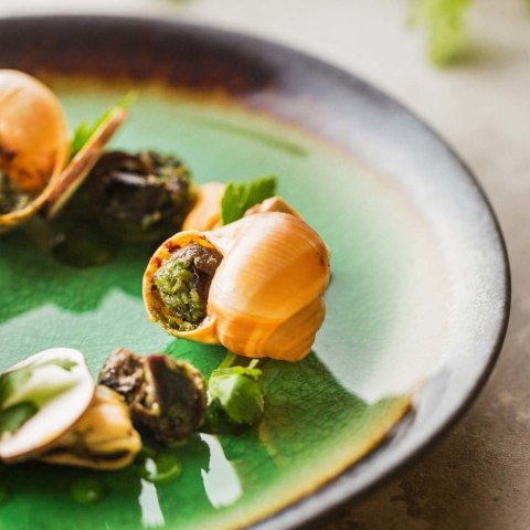 Talerz płytki Beryl 207 mm Fine Dine