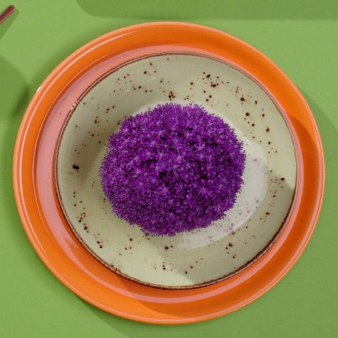 Talerz z wysokim rantem Olive 270 mm Fine Dine