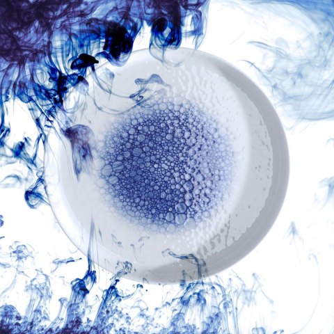 Talerz płytki Serenity 300 mm Fine Dine