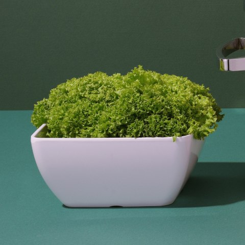 Miska kwadratowa z melaminy, biała, 190x190x(h)90 mm Fine Dine