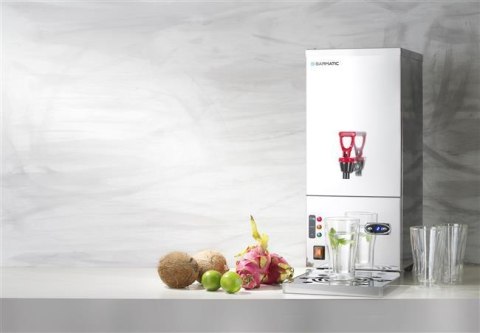 Warnik Przepływowy do Wody 10l Evergreen Barmatic 201657