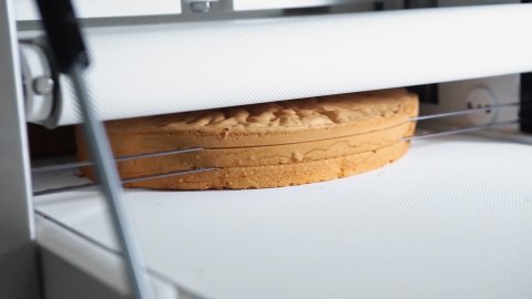 Krajalnica pozioma do pieczywa i ciast biszkoptowych model Taglio Resto Quality Taglio