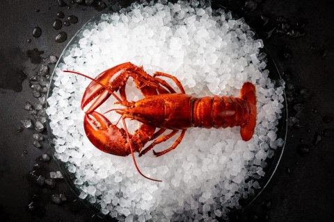 Łuskarka do lodu Hoshizaki 150 kg/24h płatki lodu powietrze Resto Quality FM-150AKE-HC-SB