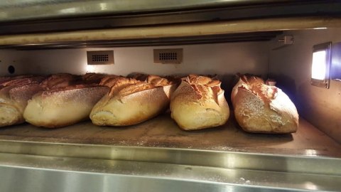 Modułowy piec piekarniczy 2-komorowy 24 kW 400V 1660x1020 mm Resto Quality MD/1200/2