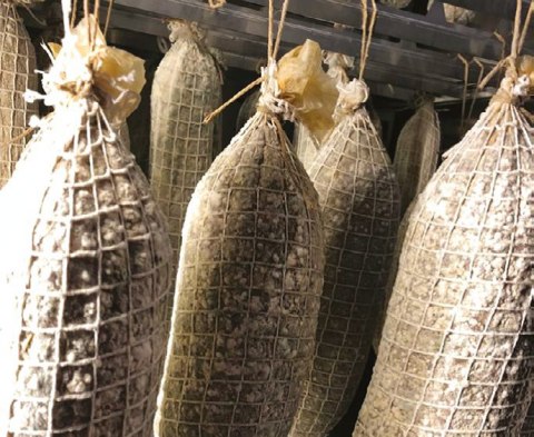 Szafa do sezonowania mięsa Klima Aging Basic Zernike Resto Quality KAE1500PV