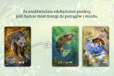 GRA EKOSYSTEM - NASZA KASIĘGARNIA