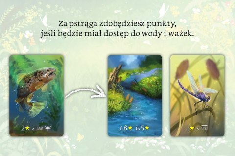 GRA EKOSYSTEM - NASZA KASIĘGARNIA