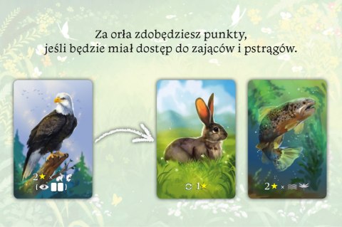 GRA EKOSYSTEM - NASZA KASIĘGARNIA