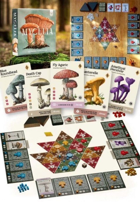 GRA MYCELIA podstawa - CZACHA GAMES