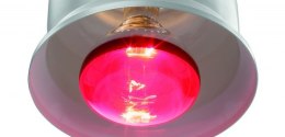 BARTSCHER | Lampa na podczerwień IWL250D